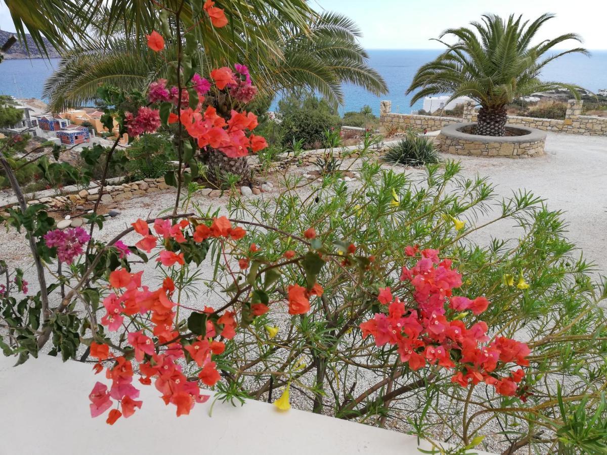 Tranquil Villa With Sea View In Ammopi Karpathos Amoopi Exterior foto